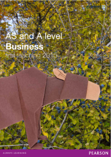 Edexcel AS and A level Business guide